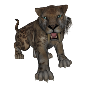 Sabre toothed tiger